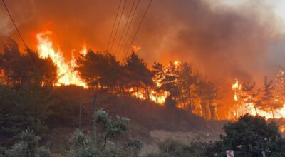 turkey-forest-fire