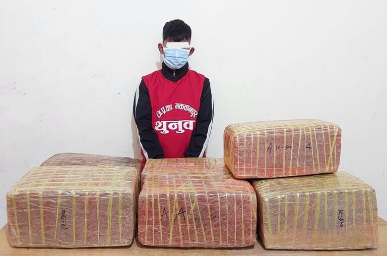 arrested-by-police-smuggling-hemp-tatokhabar-onlinekhabar-setopati-ratopati-nepalpress-ekantipur