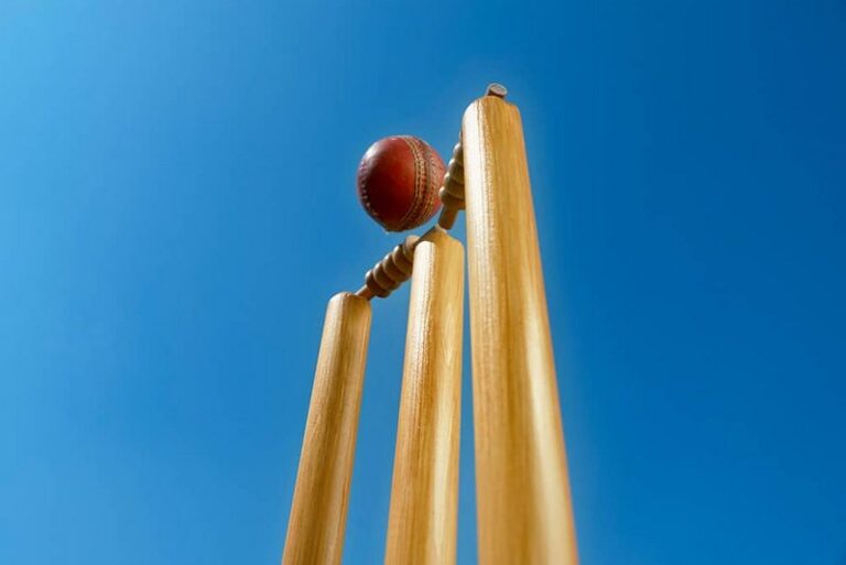 cricket-stump-tatokhabar-sports-news-cricket-news