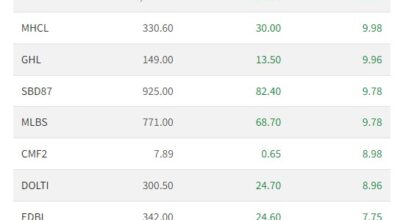 top-gainers
