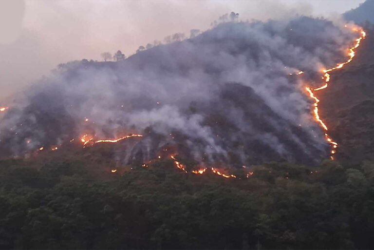 myagdi-forest-fire