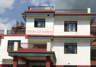 division forest parbat